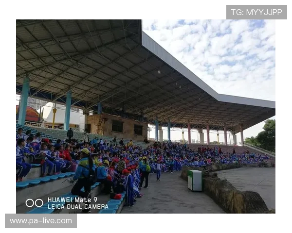 《畅玩786棋牌，享受精彩对局与极致游戏体验》